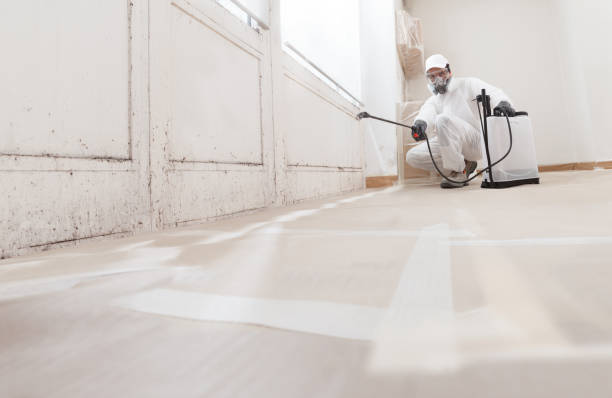 Post-remediation clearance in North Beach